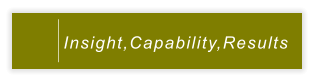 Insight,Capability,Results