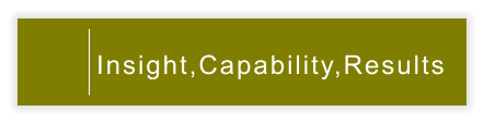 Insight,Capability,Results
